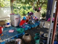 영동읍 체육회·로타리클럽 수해복구 구슬땀