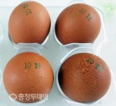 음성 농장 1곳서 살충제 성분 검출