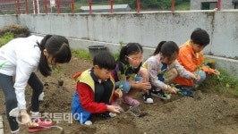 대전계산초, 시나브로 자라나는 행복