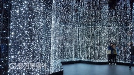 가을정취 가득한 금산인삼엑스포장서 인생사진 남겨볼까