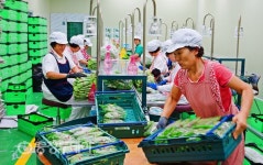 [충남특집] 충남도 농산물 유통혁신정책, ‘농업인의 희망’ 싹 틔우다