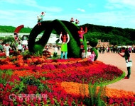제천 한방엑스포조직위, 전국 사진대회 입상작 전시