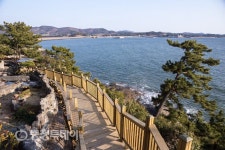 ‘서해의 비밀정원’ 보령 상화원, 겨울잠 끝냈다