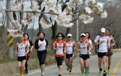 ‘봄’ 대청호 벚꽃길 함께 달립시다!…2018 물사랑 대청호 마라톤대회 내달 7일 개최
