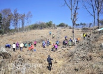 산림조합, 제천화재 극복 잣나무 3천그루 심어