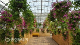 “오창미래지농촌테마공원서 몸·마음 힐링해요”