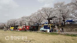 청주, 떠나는 봄…미원천서 잡아보세요