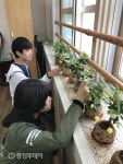 송호경 세천초 교장, 꿈·사랑·행복을 키워가는 학교