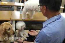 예산보건소 동물 매개 치매노인 인지재활프로그램 운영