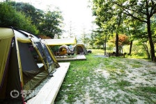 힐링 만난 숲속…제천 박달재·닷돈재 등 캠핑 각광