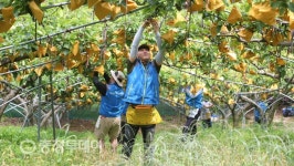 대전도시철도공사, 산직동 배농장서 일손돕기 봉사