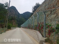 영동군 체계적 재해예방 ‘눈길’ 월류지구 급경사지 정비 호평