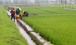 충청권 덮쳐오는 태풍…농가 재해보험 서둘러야
