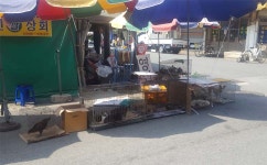 찜통더위 속 맞은 초복 날씨보다 핫한 ‘개고기’