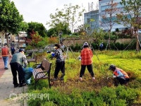 청주 내덕2동, 노인일자리 참여자 도로변 환경정화