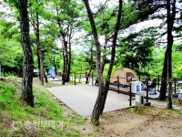 “더 쉽고 편하게”…충북 도내 오토캠핑이 대세