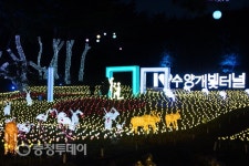 낮엔 역사학습지로 밤엔 데이트코스로…단양 명소 수양개 빛 터널