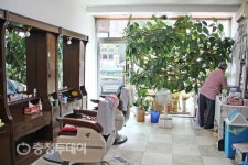 60살 이발소 30살 고무나무…영동 역전이용원 ‘터줏대감’ 눈길