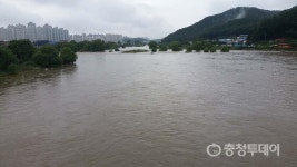 대전·충남 밤 사이 최고 157.5㎜ 비 피해 속출… 갑천 유등천 한때 범람 위기