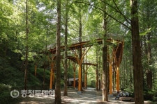 [추석 특집] 대전·충남 가볼만한 곳… 대통령 내외 찾아 힐링명소 된 장태산휴양림