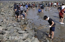 태안 별주부마을 독살 체험
