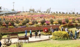 국화축제 개막 서산…가을국화에 물들다