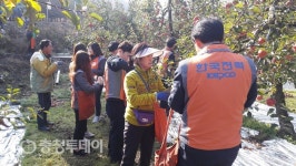 한전 충주지사 임직원 엄정면 옥성마을 과수원 일손돕기