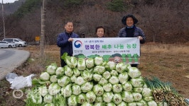 공주준법지원센터, 1사1촌 마을과 함께 ‘배추나눔 농장 운영’