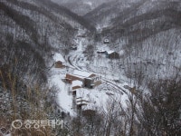 자연서 찾은 쉼표…영동 민주지산자연휴양림, 10만명 다녀갔네요