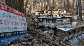 월평공원(갈마지구) 민간특례사업자, 대전시에 계획서 제출