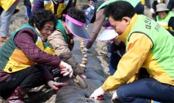 대전 중구 자원봉사센터, 정생동 행복나눔농장서 감자심기 봉사활동