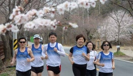 대청호 벚꽃길 마라톤 ‘두발 점검’