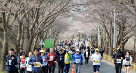 [포토] ‘2019 대청호 벚꽃길 마라톤대회’ 성료