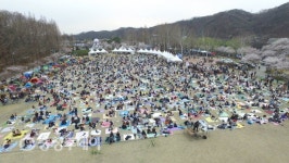 대전 대청호 대덕 뮤직페스티벌… 전국 15만명 매료