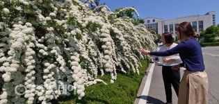 옥천읍사무소에서 힐링하세요