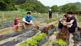 한국타이어앤테크놀로지㈜, 청주서 가족농장 Farm Party
