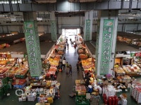 대전중앙청과(주), 끝없는 노력…최고인 이유죠