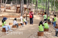 만지고·느끼고… 서산 아이들은 숲에서 배운다
