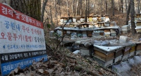 월평공원 갈마지구 민특사업 결국 무산…대전시 재정부담 현실화