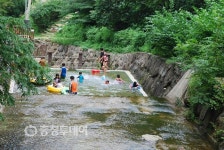 매연 벗어나 자연 속으로…영동 용화면 민주지산 입소문