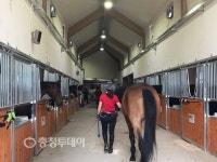 대전 유성구 복용승마장 보수공사 완료… 재개장