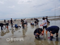 홍성군, 청소년 농촌진로체험캠프 해오름 추진