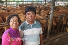 괴산한우, 2년 연속 보증씨 수소 선발