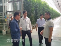 충북 日수출 농산물 현장점검