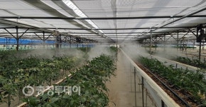충주시농업기술센터, 안정적 농산물 생산 기여