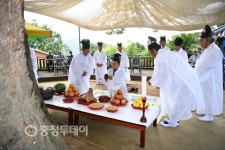 고려시대부터 봉림리 지켜온 천년느티나무