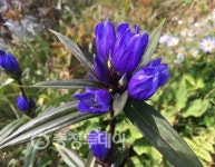 소백산 국립공원, 가을향기 솔솔