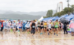 악천후에도… 전국 건각들 청양에 모였다
