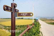 당장, 당진으로!… 가을낭만 푹