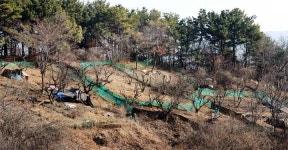 민간특례사업자 지위 유지…대전 월평공원 불안기류